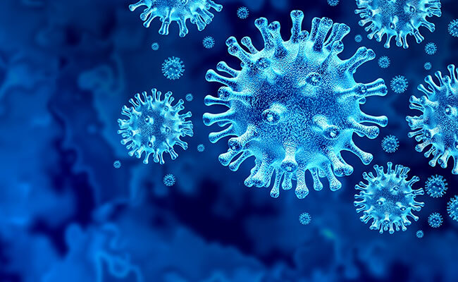 virus