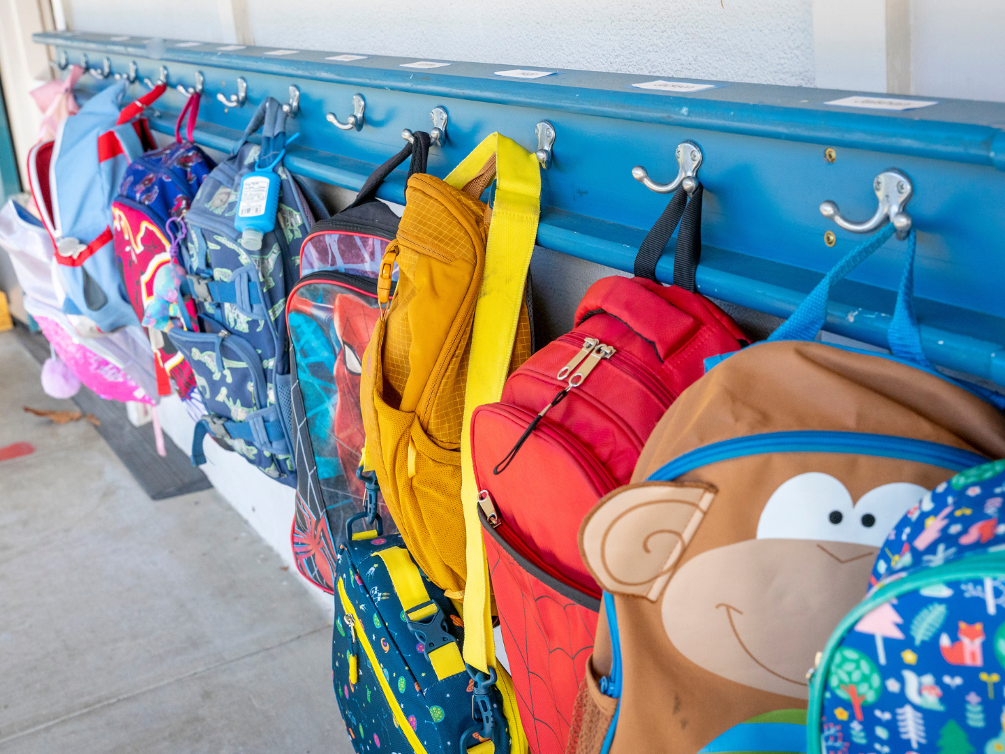 lineup of kids backpacks